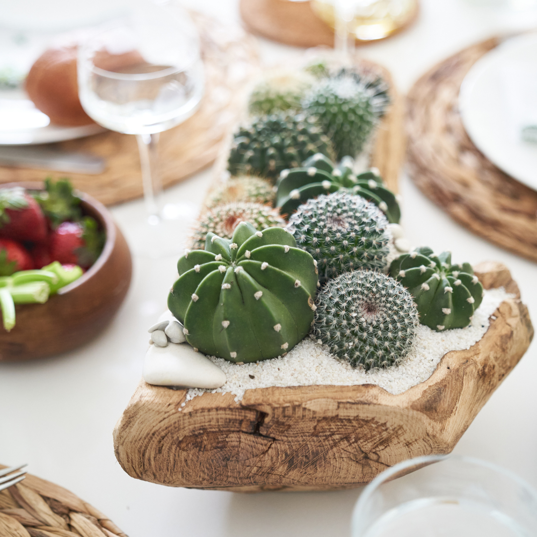 Natural Wood Trough - Low Green Garden