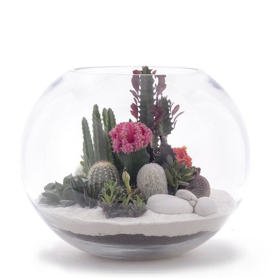 Fishbowl Terrarium - White