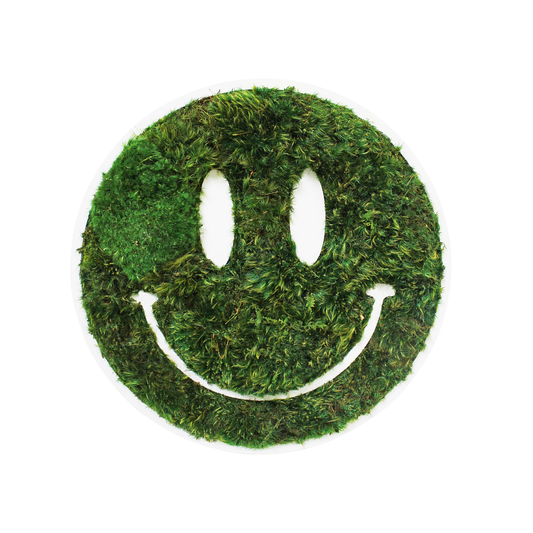 Smiley Face - Moss Wall Decor