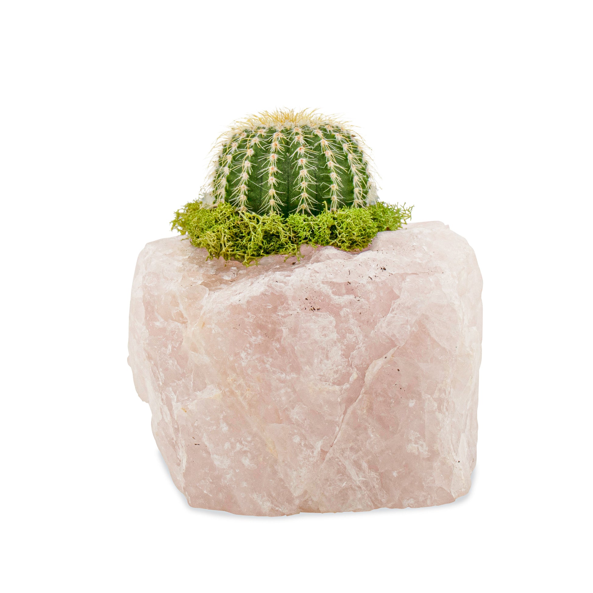 Rose Quartz with Cactus (5" H x 5" W)
