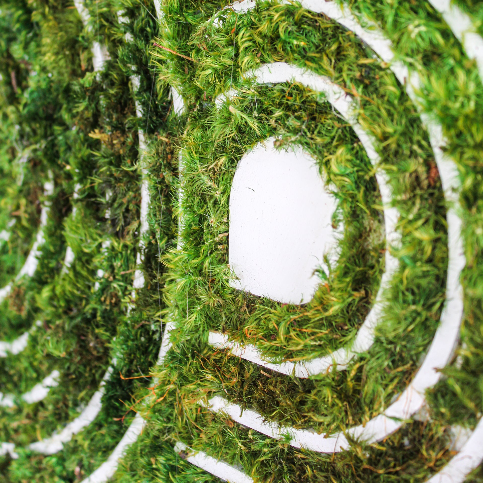 Optical Moss Art - Labyrinth (6' 4" x 10' 1")
