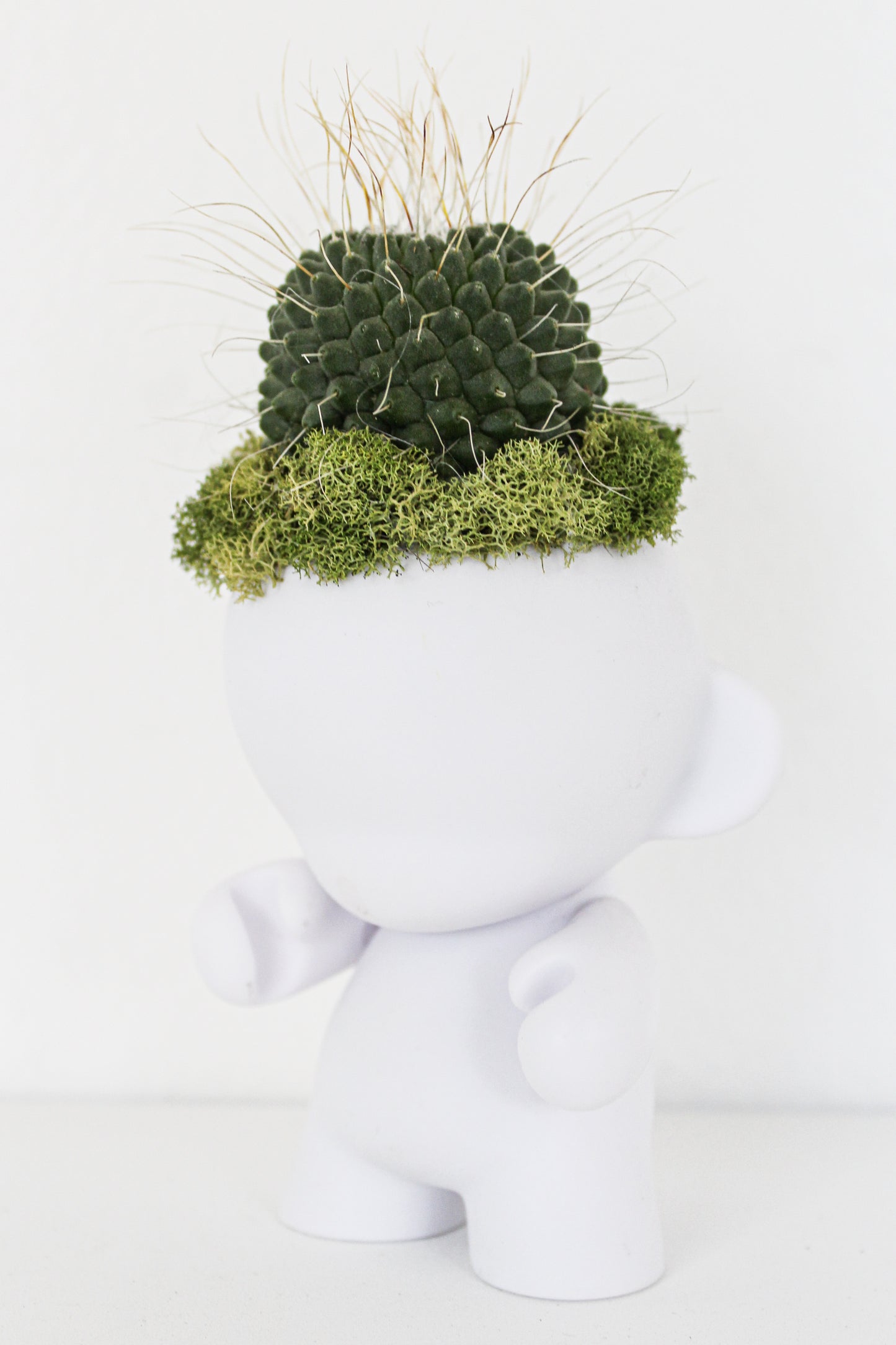 Munny Mini Garden - Cactus (4" H x 3" W)