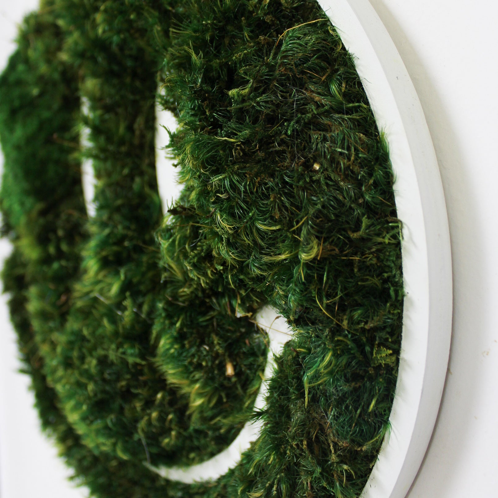 Smiley Face - Moss Wall Decor