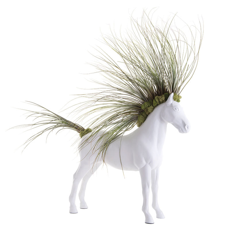 Horse Large Standing - Juncea Airplants (30" H x 20" W)
