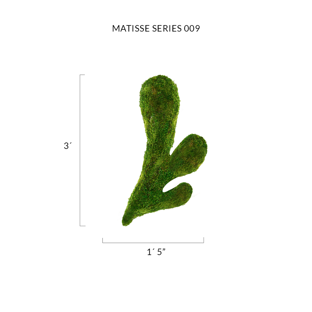 Matisse Moss Cut-Out Series No. 009 