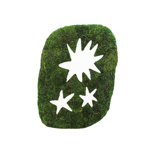 Matisse Moss Cut-Out Series No. 010