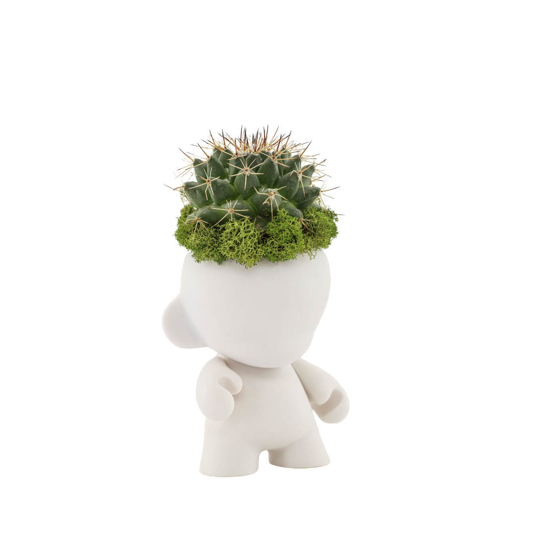 Munny Mini Garden - Cactus (4" H x 3" W)