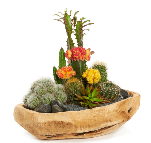 Natural Wood Low Bowl - Garden