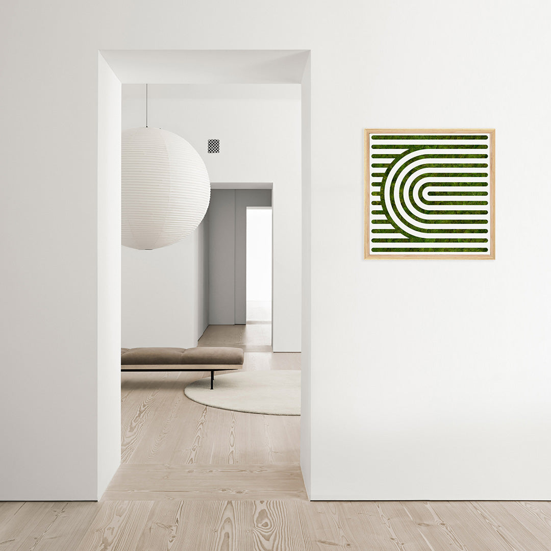 Moss Art - Optical Series No. 010 (2' x 2')