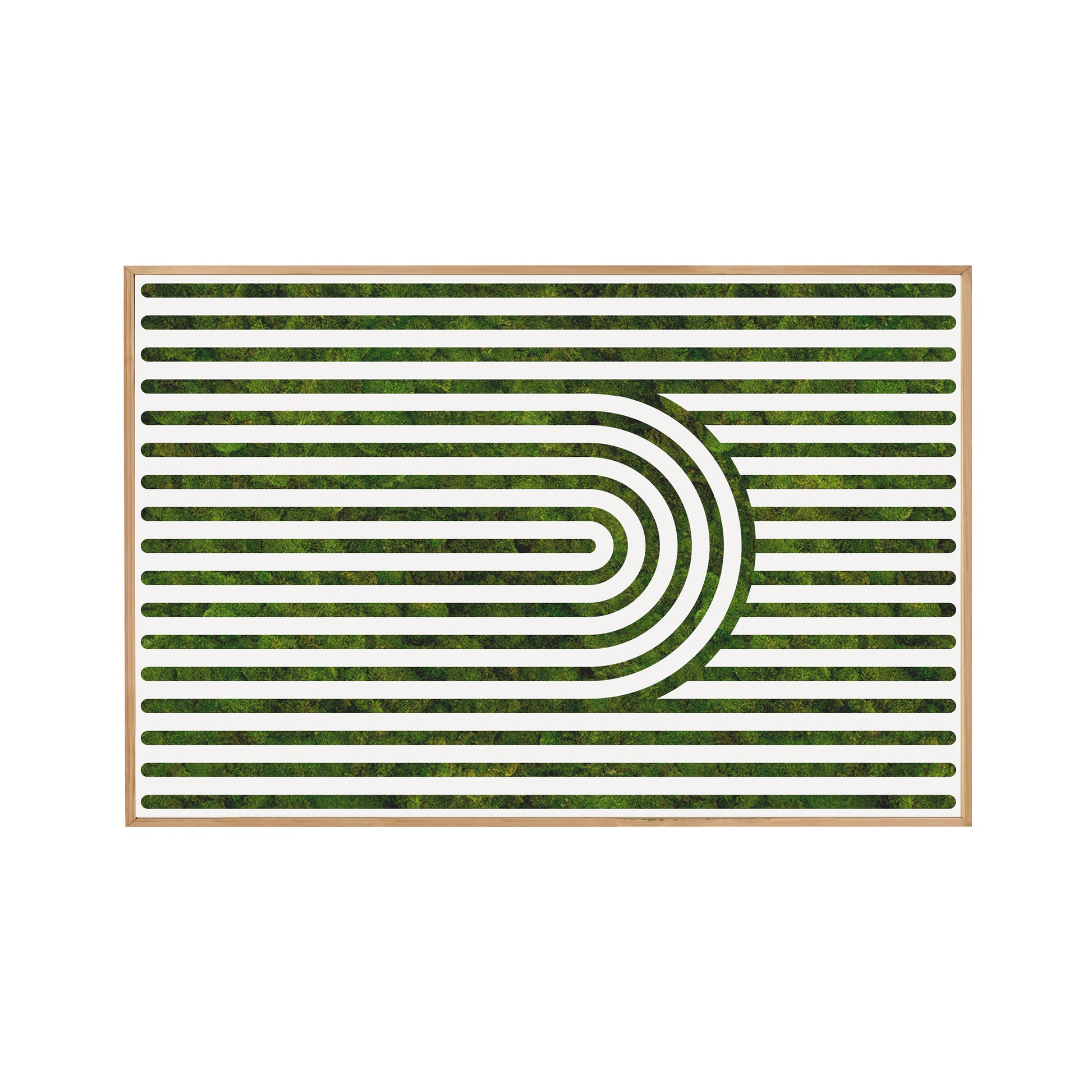 Moss Art - Optical Series No. 004 (6'x 4')