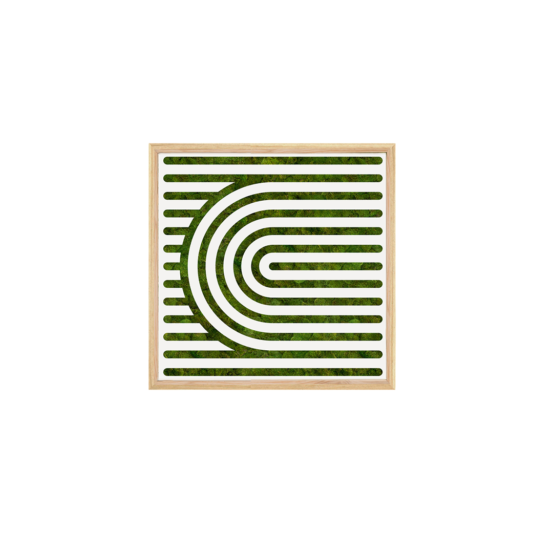 Moss Art - Optical Series No. 010 (2' x 2')
