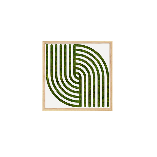 Moss Art - Optical Series No. 011 (2' x 2')