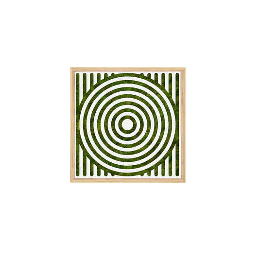 Moss Art - Optical Series No. 012 (2' x 2')