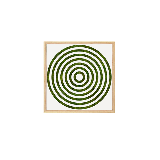Moss Art - Optical Series No. 013 (2' x 2')