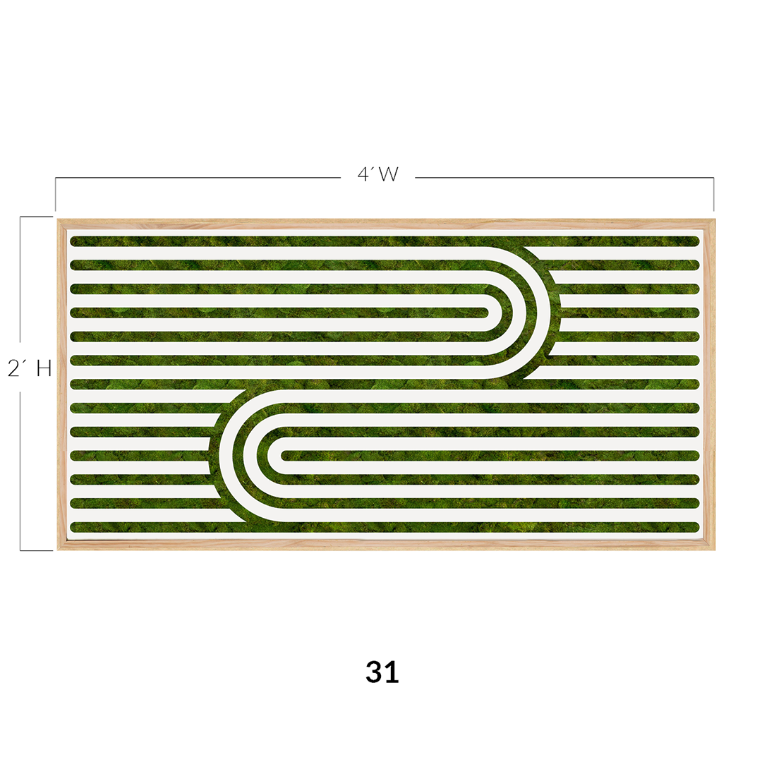 Moss Art - Optical Series No. 020 (2' x 4')