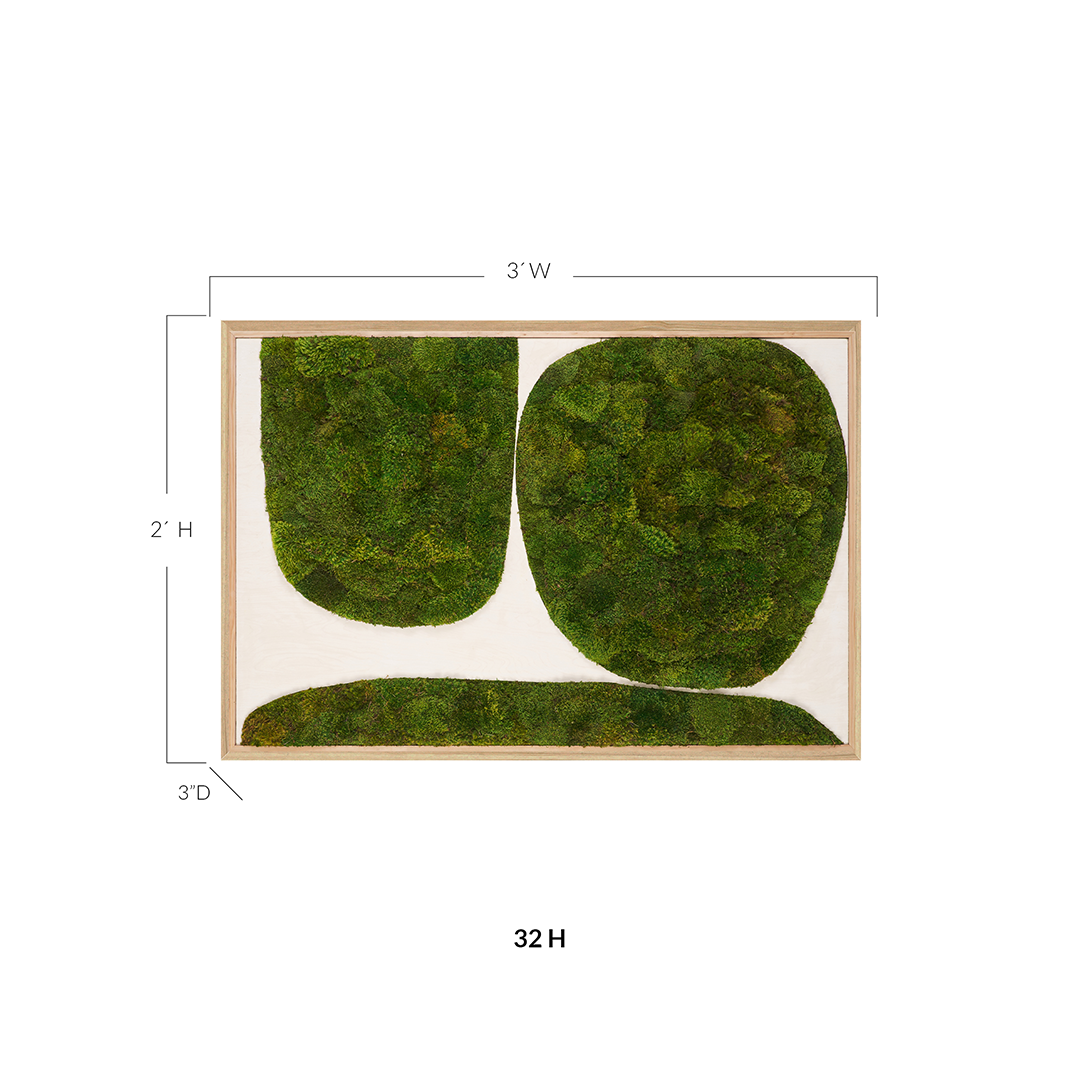 Moss Art - Abstract Series No. 041 (3' x 2')