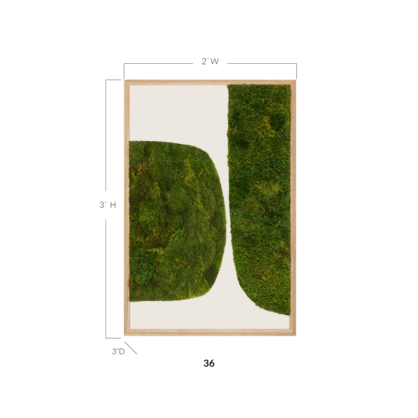 Moss Art - Abstract Series No. 045 (3' x 2')