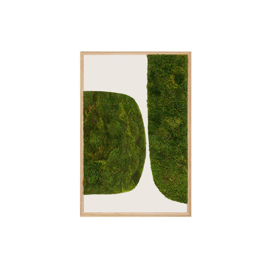 Moss Art - Abstract Series No. 045 (3' x 2')