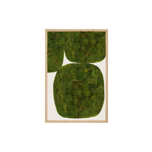 Moss Art - Abstract Series No. 047 (3' x 2')