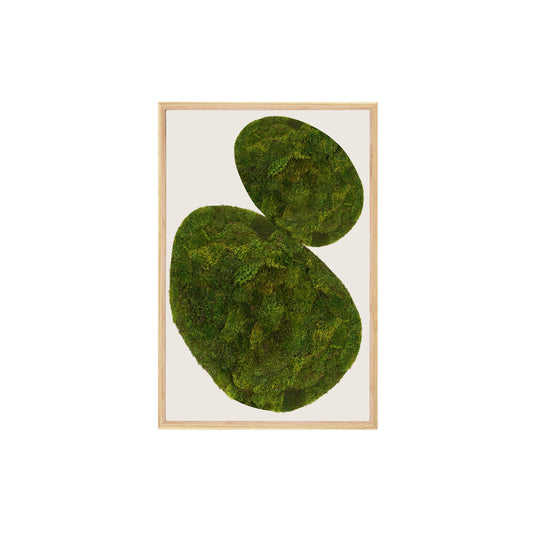 Moss Art - Abstract Series No. 050 (3' x 2')
