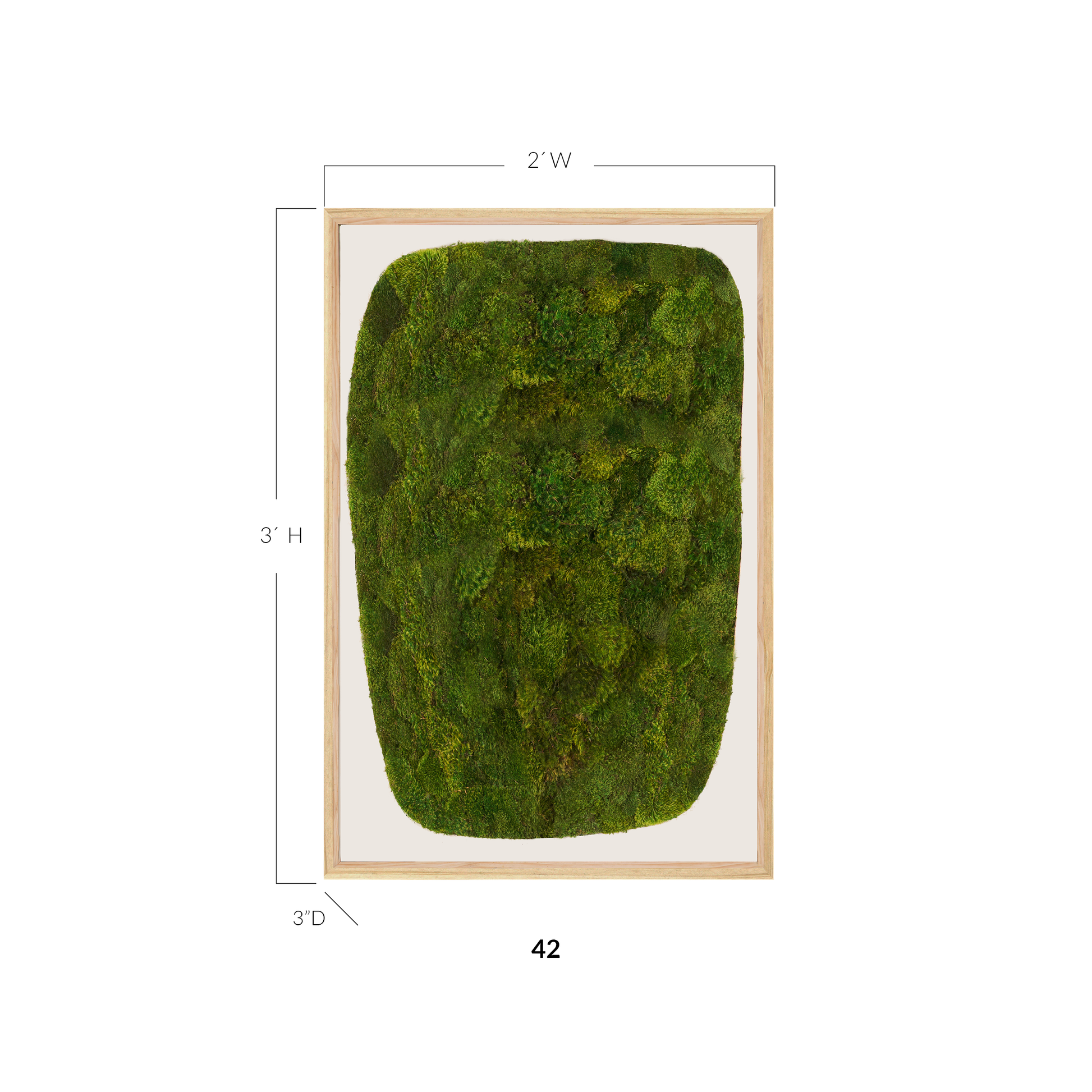 Moss Art - Abstract Series No. 051 (3' x 2')