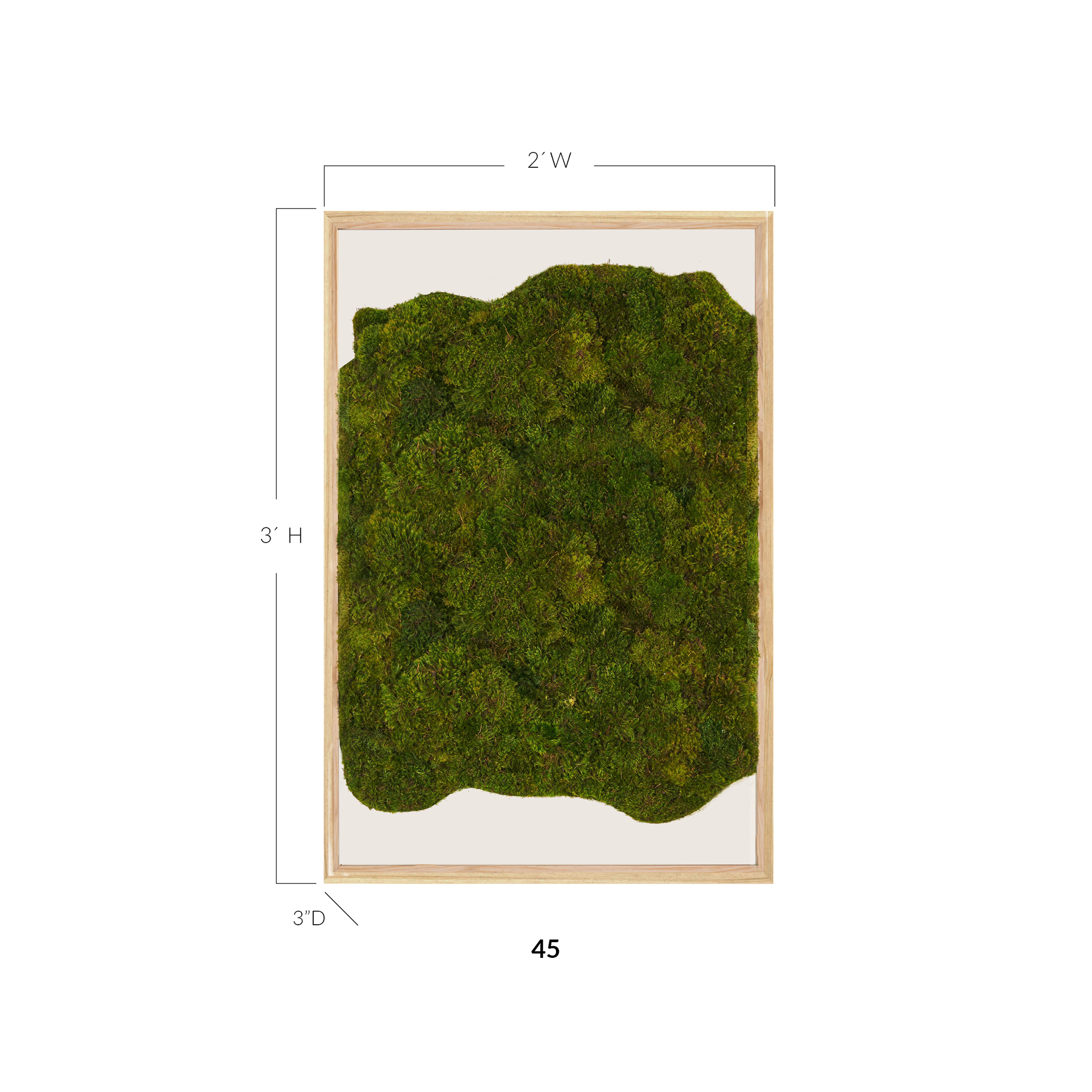 Moss Art - Abstract Series No. 054 (3' x 2')