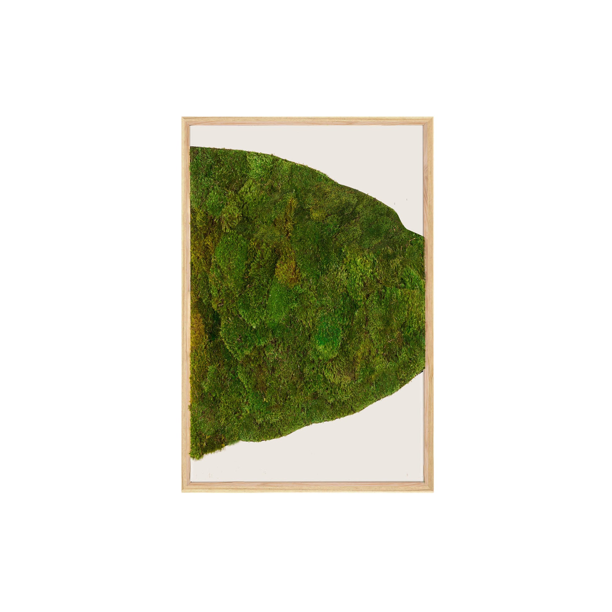 Moss Art - Abstract Series No. 055 (3' x 2')