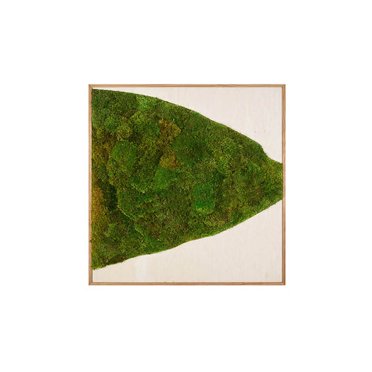 Moss Art - Abstract Series No. 029 (4' x 4')