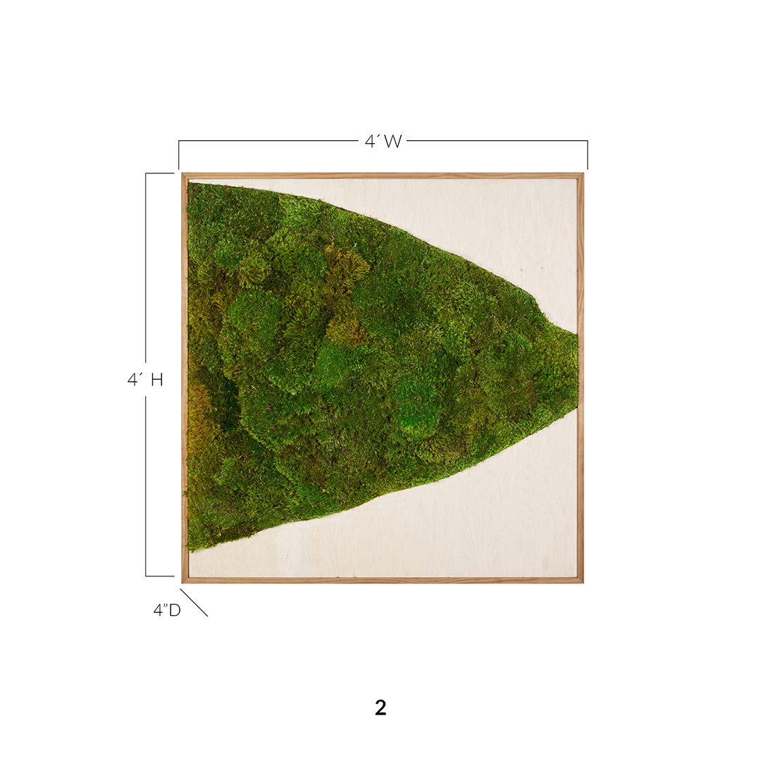 Moss Art - Abstract Series No. 029 (4' x 4')