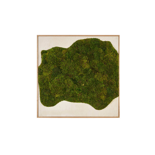 Moss Art - Abstract Series No. 030 (4' x 4') 