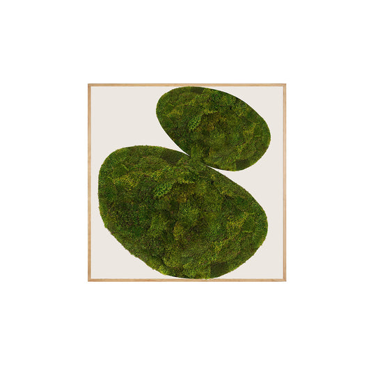 Moss Art - Abstract Series No. 032 (4' x 4') 