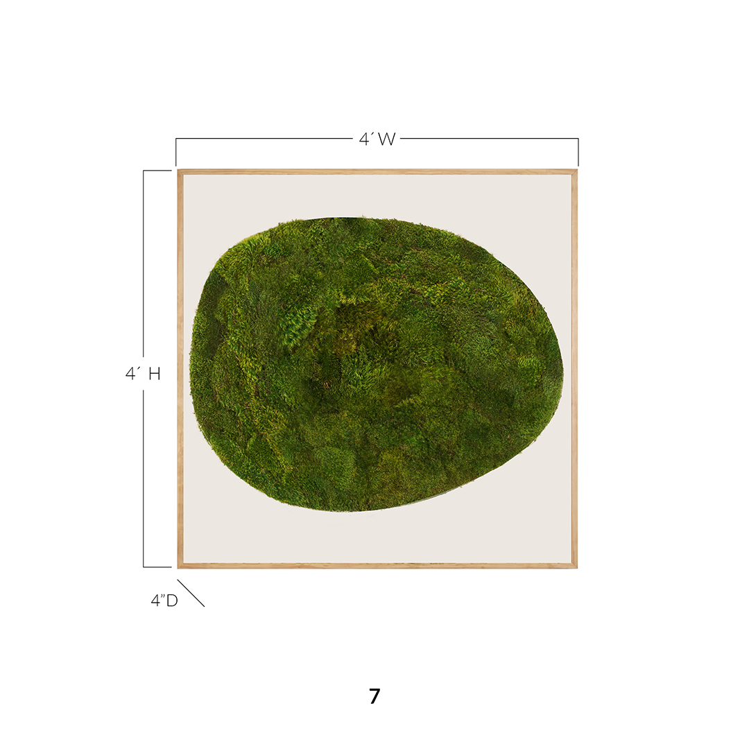 Moss Art - Abstract Series No. 034 (4' x 4')  