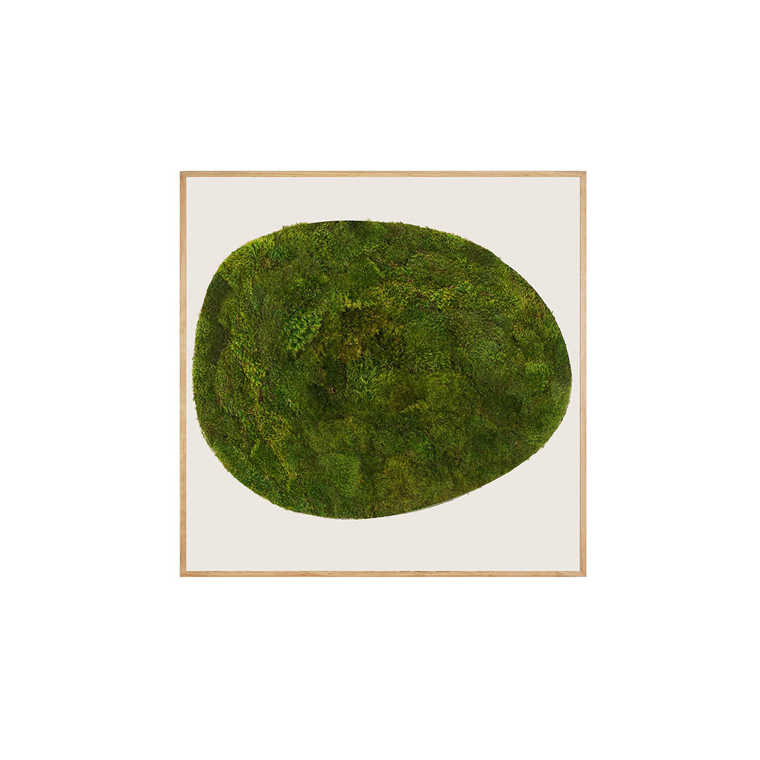 Moss Art - Abstract Series No. 034 (4' x 4')  
