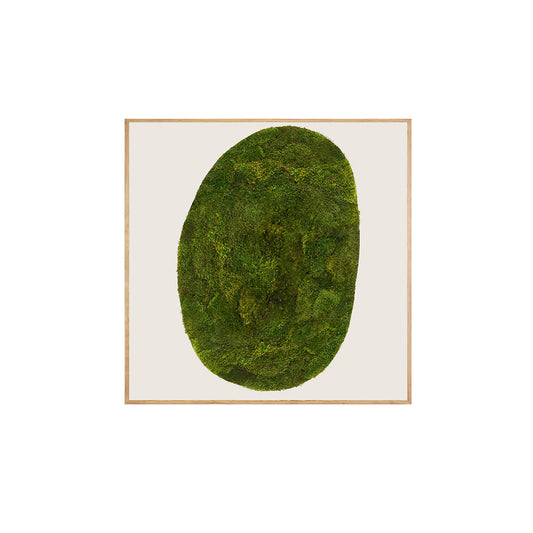 Moss Art - Abstract Series No. 035 (4' x 4') 