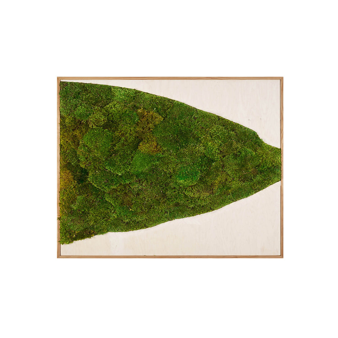 Moss Art - Abstract Series No. 036 (5' x 4') 