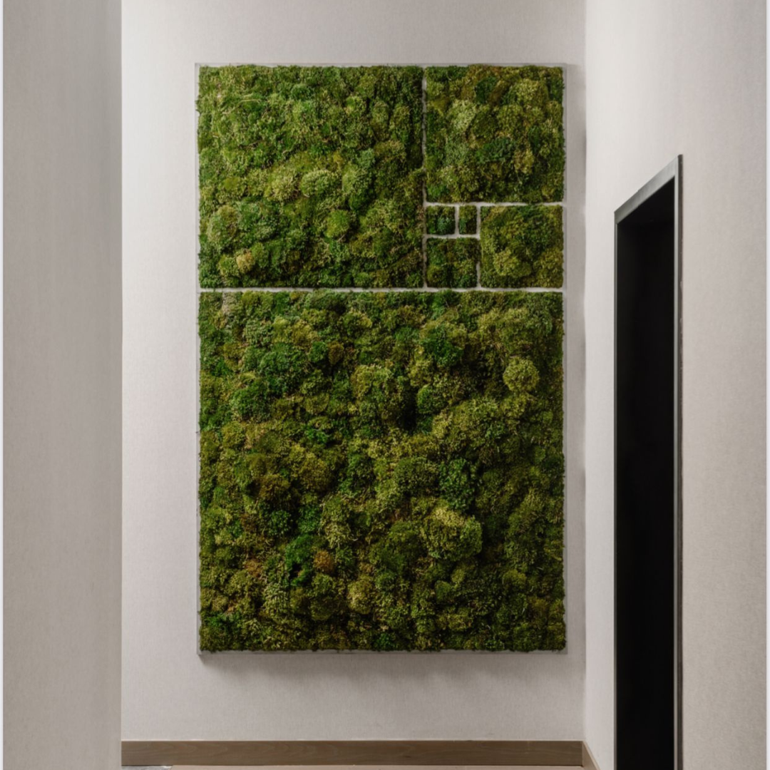 Moss Art - "Golden Ratio" (4' x 6')