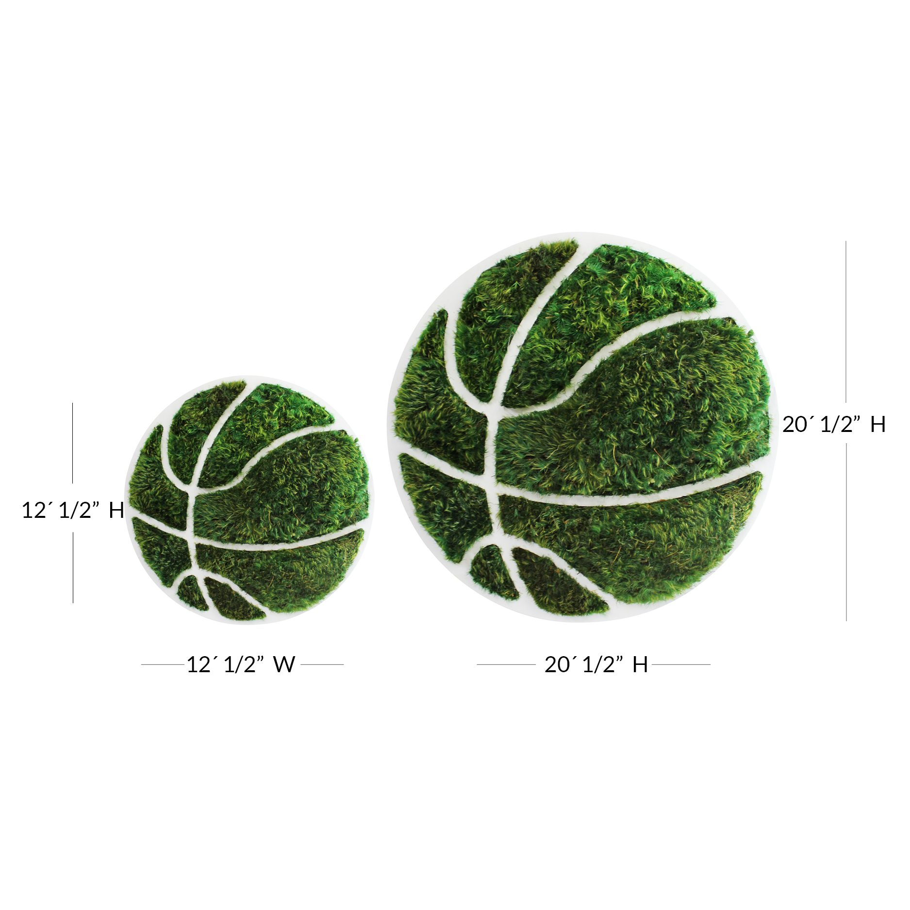 Basketball - Moss Wall Decor