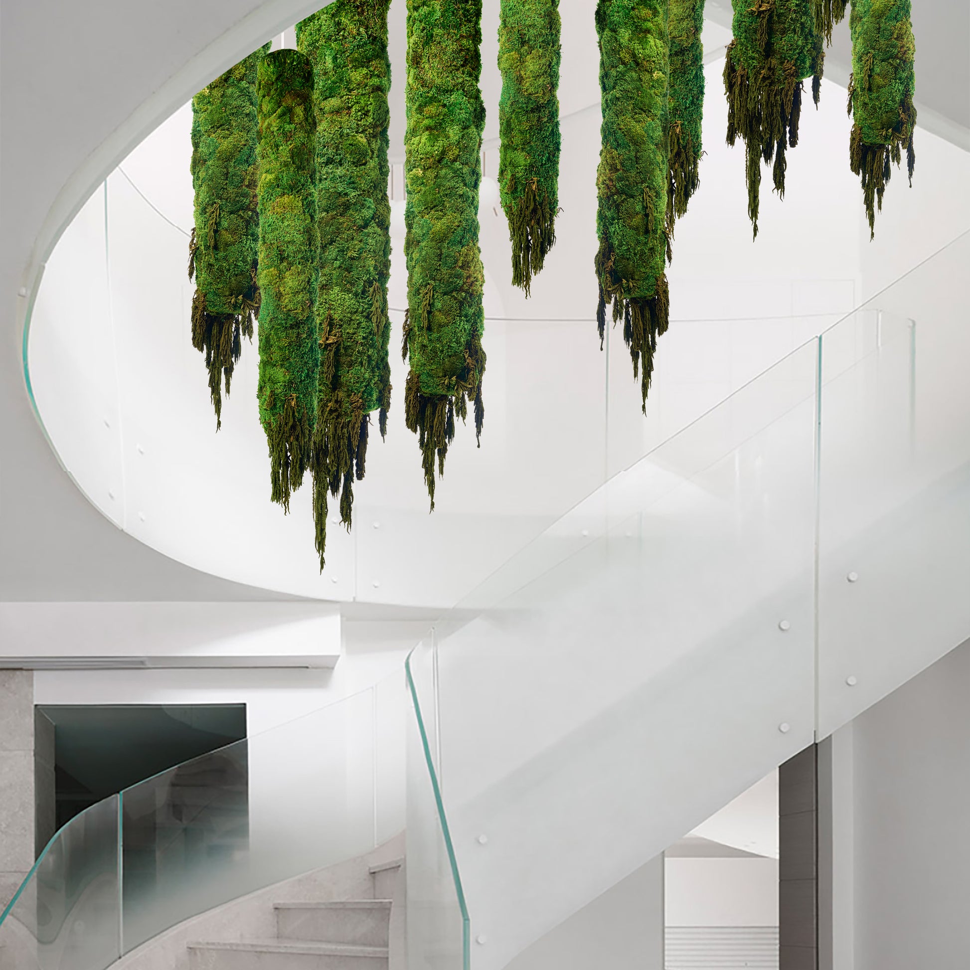 Hanging Moss Cylinder with Amaranthus 