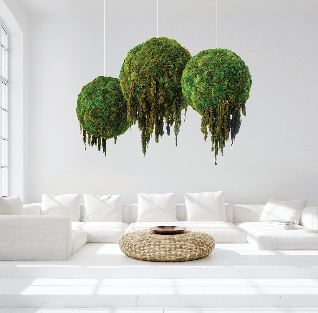 Hanging Moss Sphere with Amaranthus