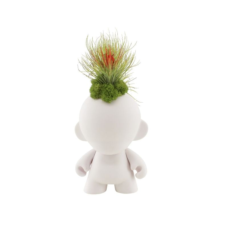 Munny Small Mohawk - Andreana Airplants (9" H x 5" W)