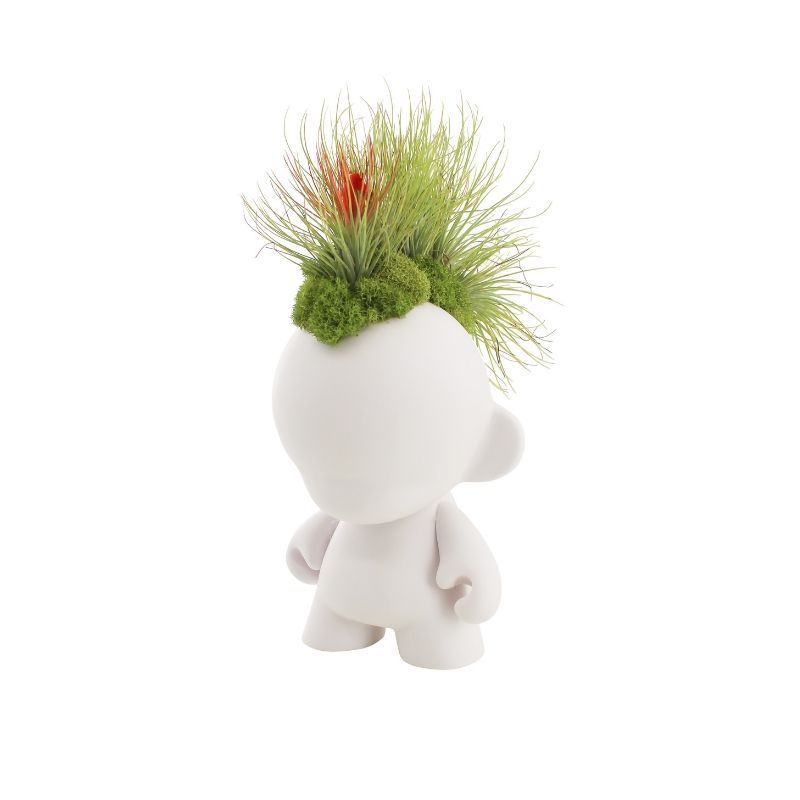 Munny Small Mohawk - Andreana Airplants (9" H x 5" W)