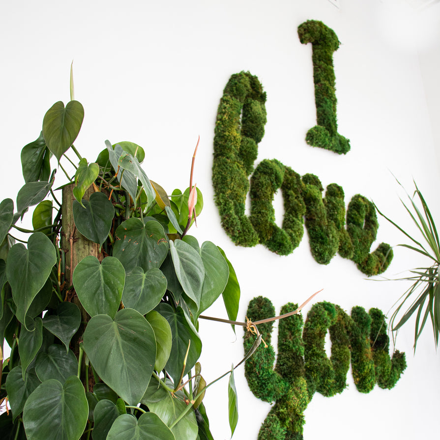 Moss Sign - "I Love You" Cursive (10' W x 3' H)