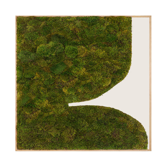 Moss Art - Abstract Series No. 002 (8' x 8')