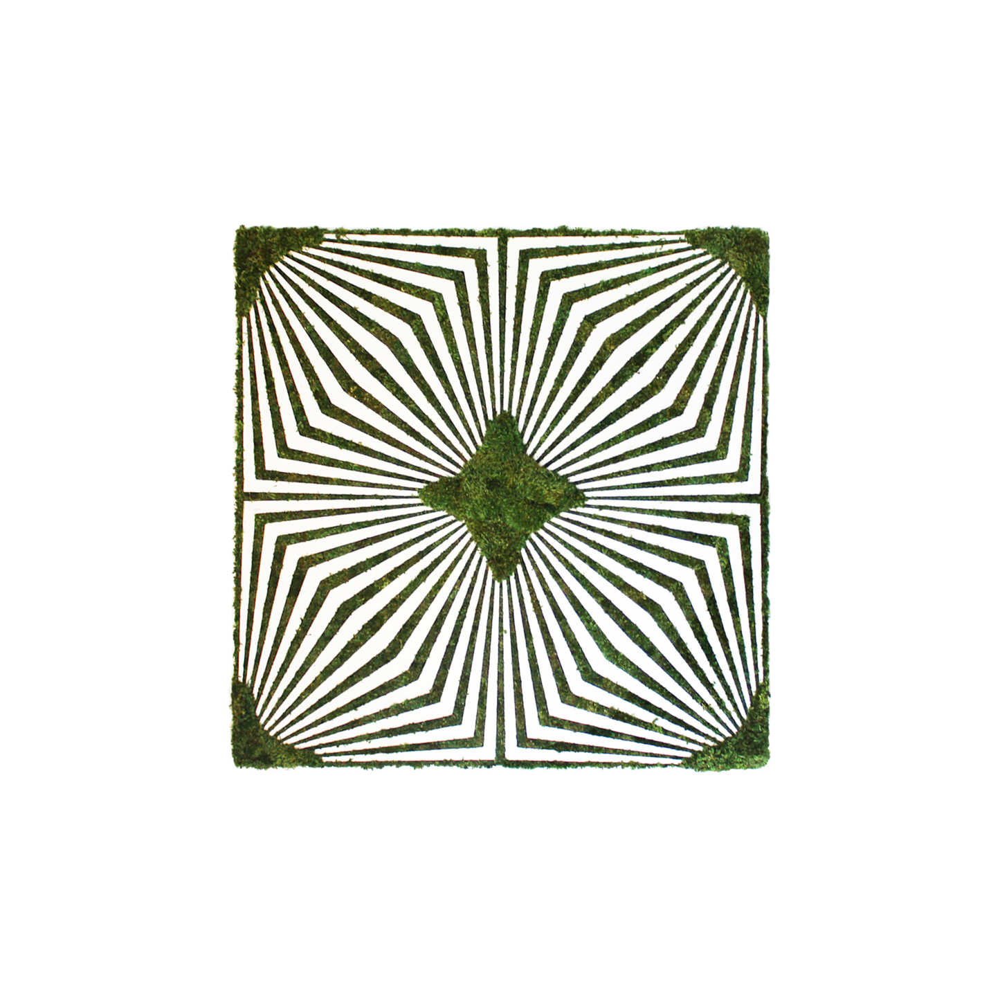 Optical Moss Art - Duality 1 (4' x 4')