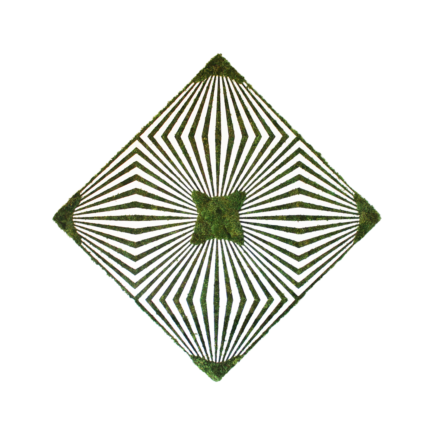 Optical Moss Art - Duality 1 (4' x 4')