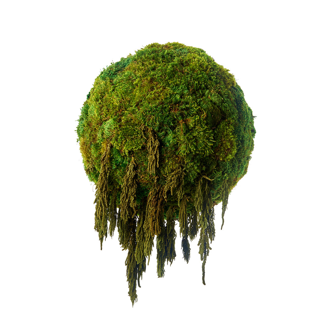 Hanging Moss Sphere with Amaranthus