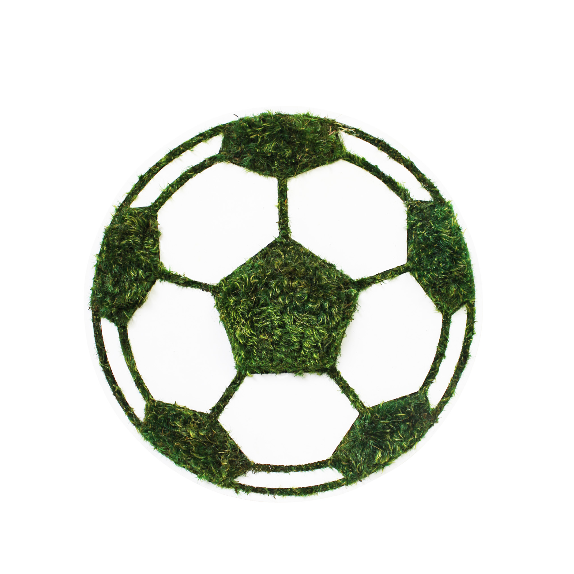 Soccer Ball - Moss Wall Decor