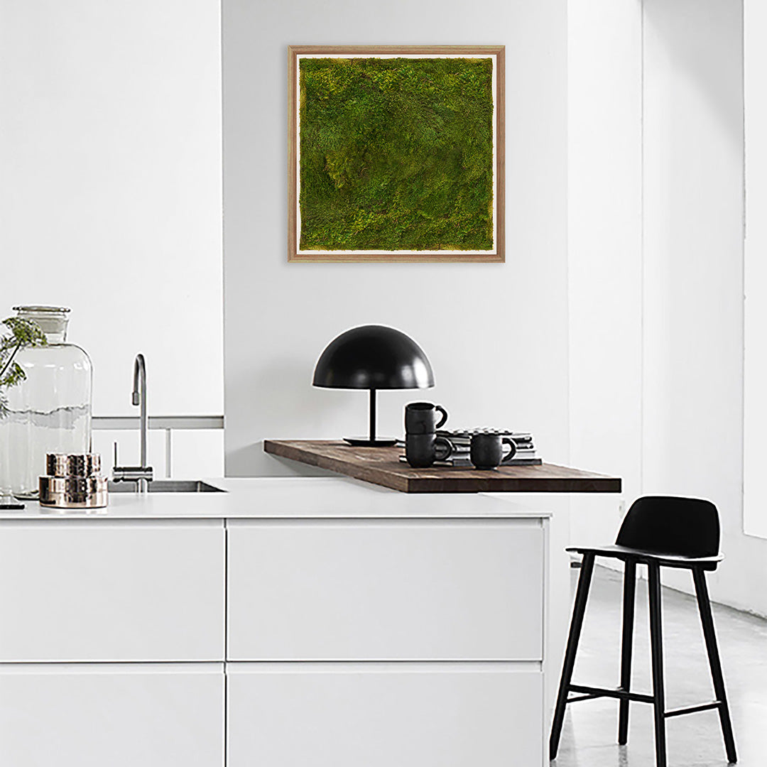 Moss Art - Solid Series (2' x 2')