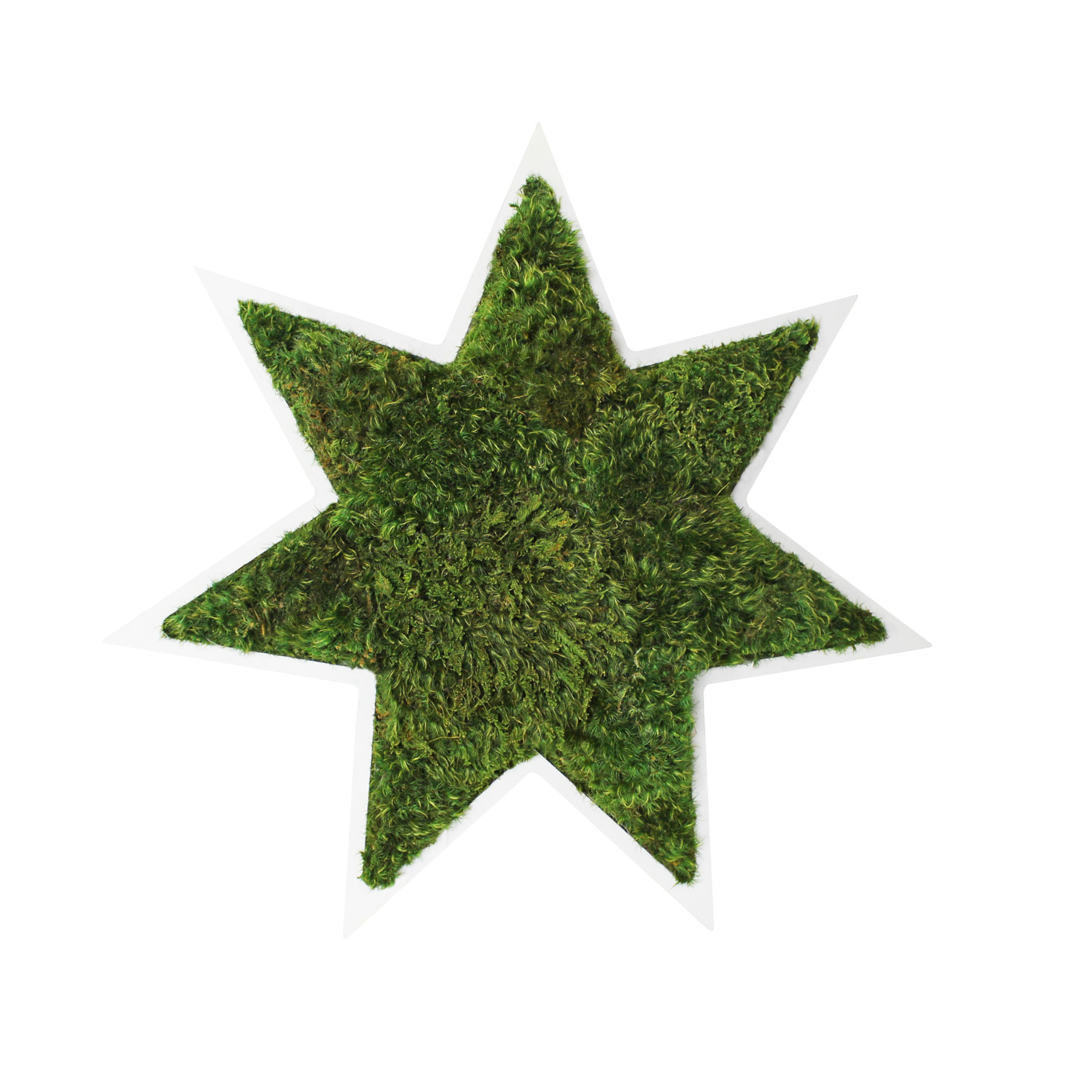 Star - Moss Wall Decor