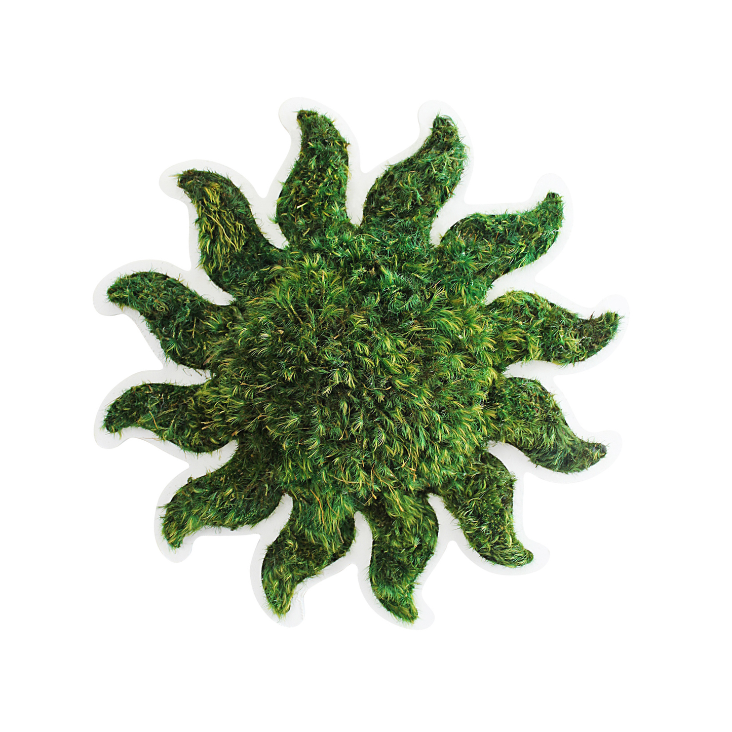 Sun - Moss Wall Decor